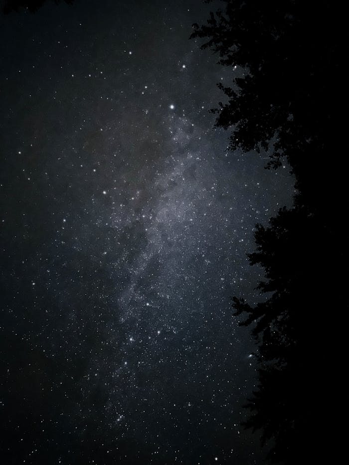 services-01 pexels-photo-34768296.jpeg